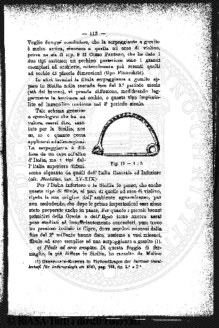 n. 12 (1929) - Copertina: 1