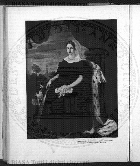 v. 2, n. 49 (1837-1838) - Pagina: 385