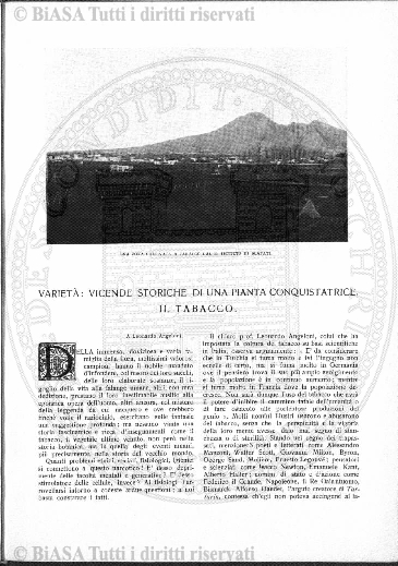 v. 4, n. 23 (1909) - Tavola fuori testo