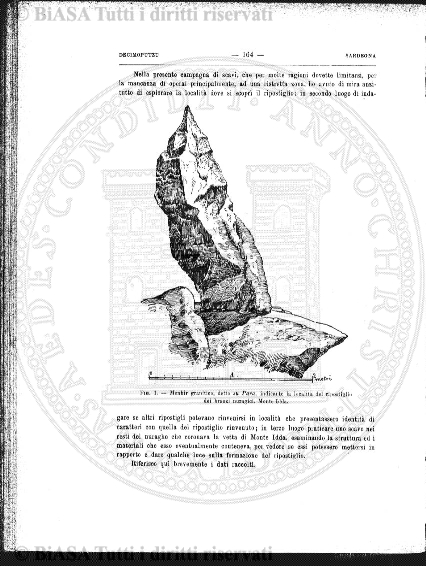 v. 10, n. 25 (1843-1844) - Pagina: 193