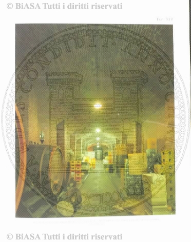 s. 5, n. 10 (1889) - Sommario: p. 145