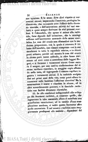 n.s., n. 4 (1890) - Pagina: 25 e sommario
