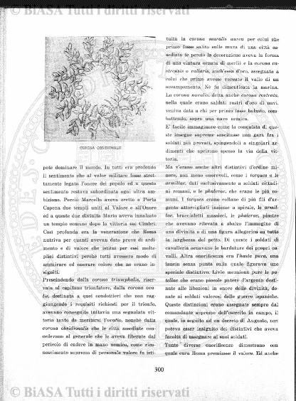 s. 2, v. 4, n. 5-6 (1888) - Pagina: 65