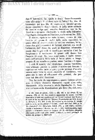 n. 18 (1882) - Pagina: 141 e sommario