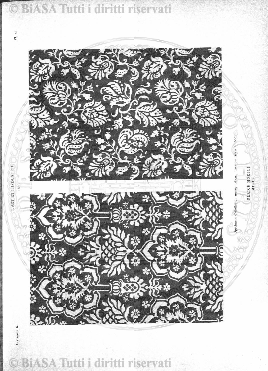 n. 8 (1905) - Pagina: 61