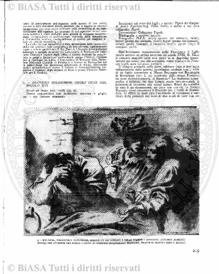 n. 41 (1910) - Frontespizio