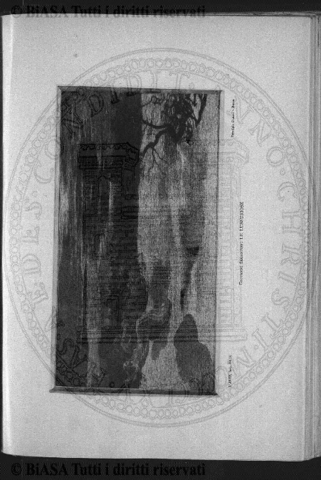 v. 8, n. 48 (1911) - Pagina: 183