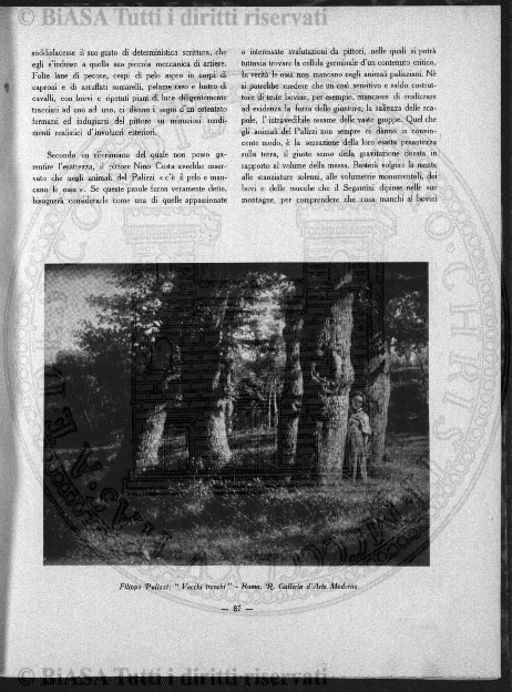 s. 2, v. 9, n. 4-5-6 (1893) - Pagina: 57