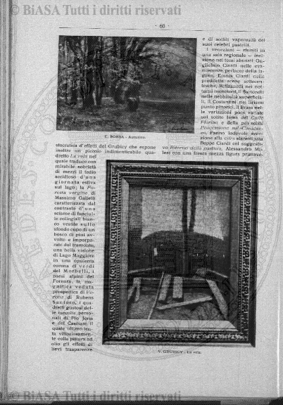 v. 8, n. 44 (1911) - Pagina: 41