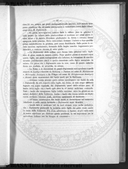 gen-mar (1874) - Frontespizio