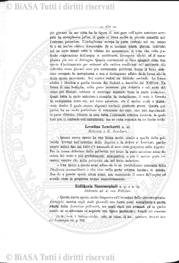 n. 9 (1910) - Pagina: 333