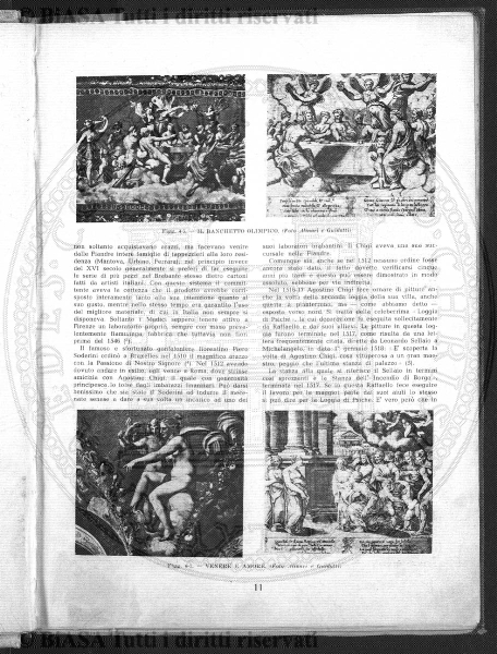 v. 21, n. 30 (1854-1855) - Pagina: 233