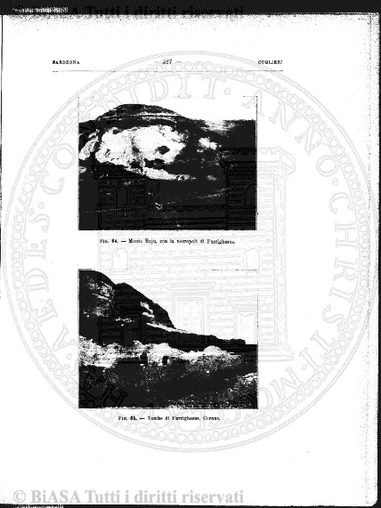 n. 3 (1888) - Pagina: 5