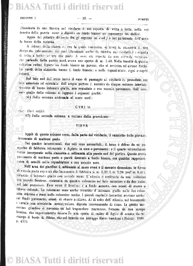n. 20 (1881) - Frontespizio