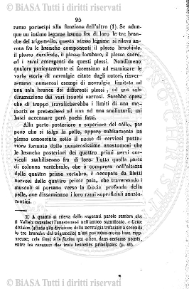 n. 1 (1910) - Copertina: 1