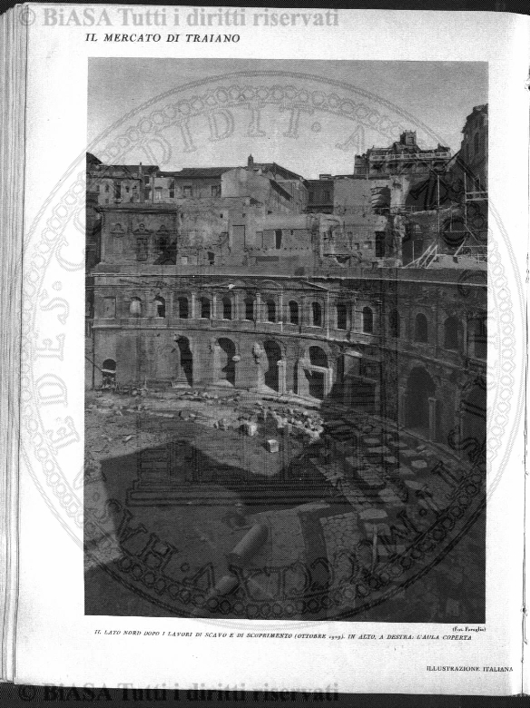 v. 8, n. 39 (1781-1782) - Pagina: 305