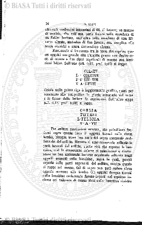 n. 9 (1873-1874) - Pagina: 65