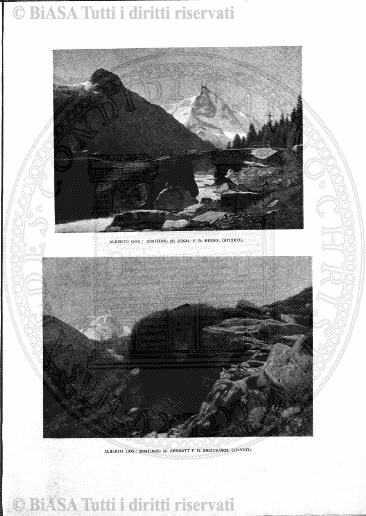 n. 25 (1917) - Copertina: 1