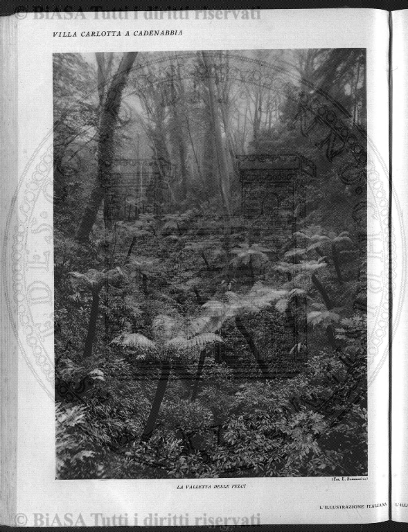 n. 7 (1890) - Frontespizio