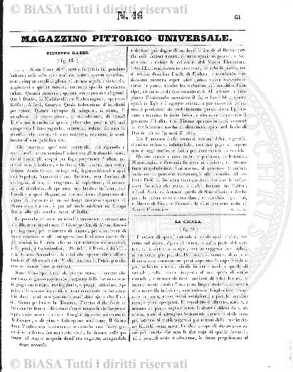 n. 7 (1785) - Pagina: 49