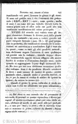 n. 19 (1875-1876) - Frontespizio