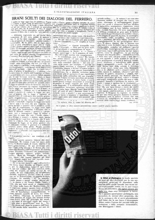 n. 7 (1903) - Copertina: 1