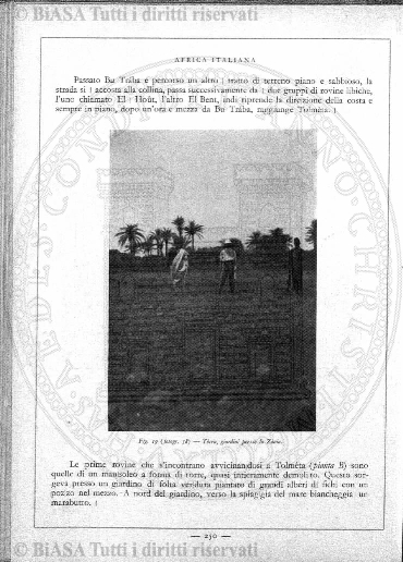 n. 7 (1898) - Frontespizio