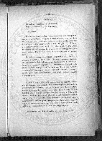 n.s., n. 1 (1904) - Copertina: 1