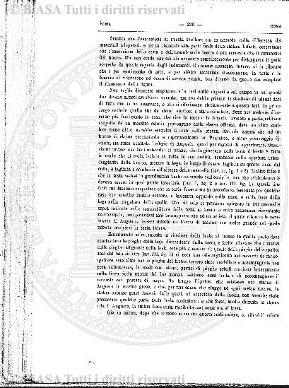 v. 2, n. 12 (1928-1929) - Pagina: 529