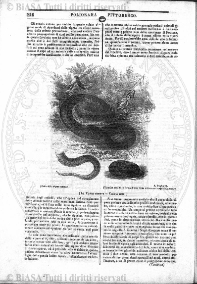 s. 2, v. 10, n. 1 (1875) - Frontespizio