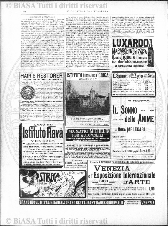 v. 1, n. 35 (1834-1835) - Pagina: 273
