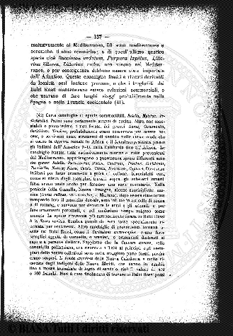 n. 3 (1846-1847) - Pagina: 17