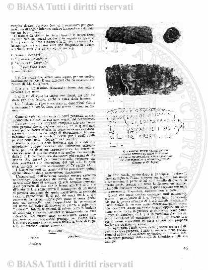n. 5-6, supplemento (1916) - Pagina: 33