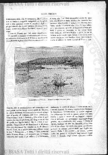 n. 5 (1922) - Pagina: 33