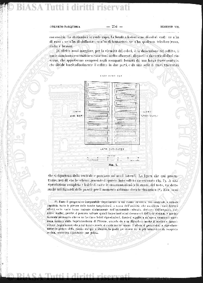 s. 5, n. 8 (1911) - Pagina: 225