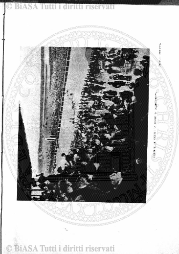 v. 17, n. 30 (1850-1851) - Pagina: 233