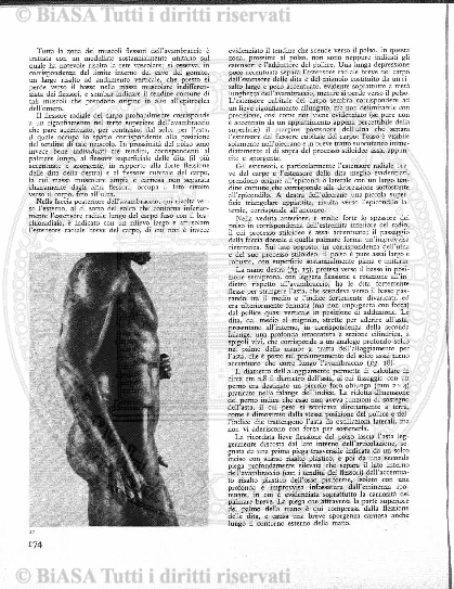 n. 40 (1834) - Pagina: 157