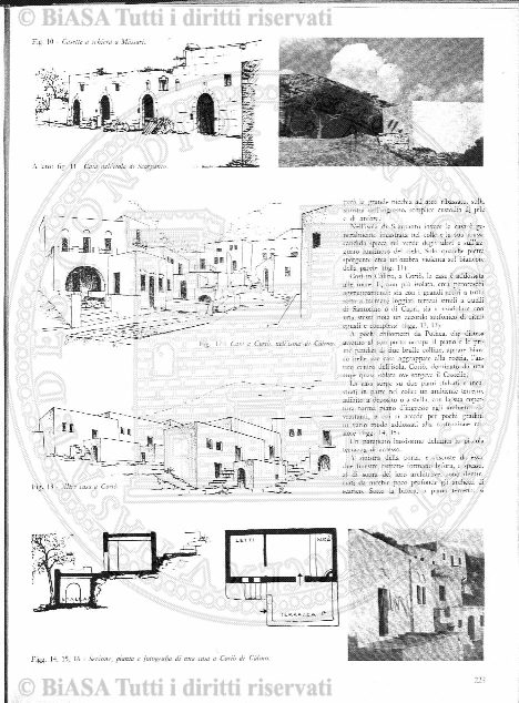 v. 2, n. 48 (1837-1838) - Pagina: 377