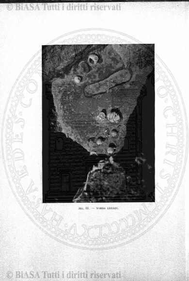 n. 11 (1869) - Pagina: 225