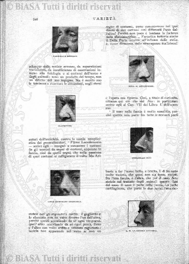 v. 2, n. 42 (1775-1776) - Pagina: 329