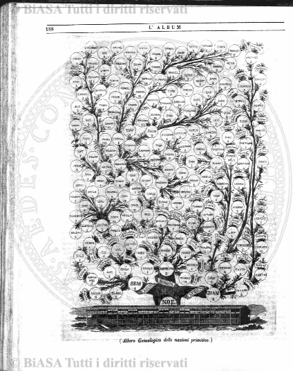 s. 3, v. 8, n. 16 (1883-1884) - Copertina: 1