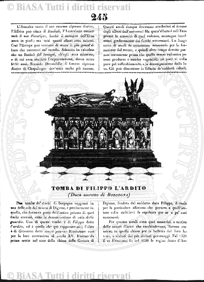 n. 36 (1886) - Pagina: 257 e sommario