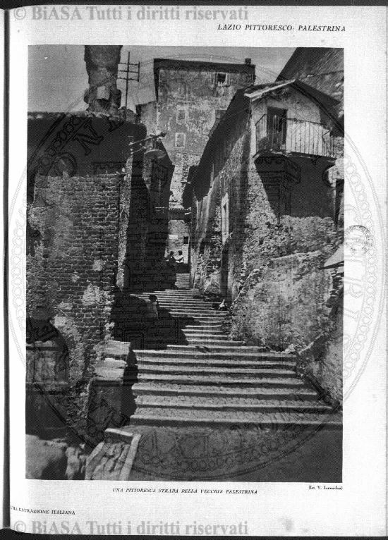 s. 3, v. 3, n. 6 (1887) - Pagina: 181