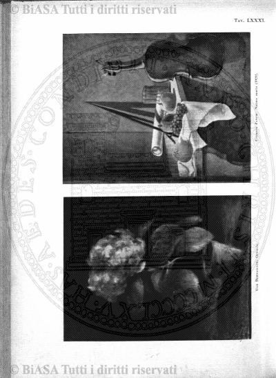 v. 30 (1902) - Frontespizio