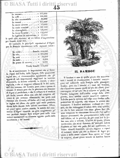 s. 2, n. 5 (1893) - Pagina: 97
