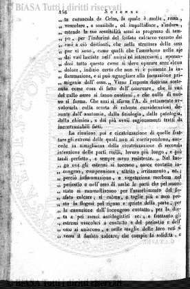 n. 25 (1874-1875) - Sommario: p. 193