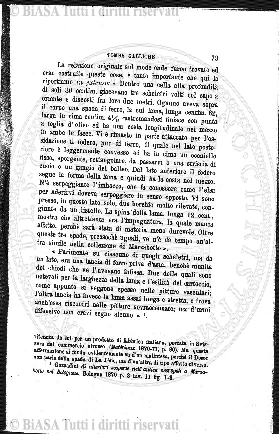 Indice topografico (1885) - Frontespizio