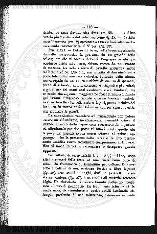 s. 3, v. 7, n. 13 (1882-1883) - Copertina: 1