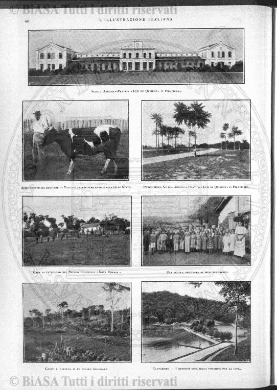 v. 2, n. 8 (1924-1925) - Pagina: 337