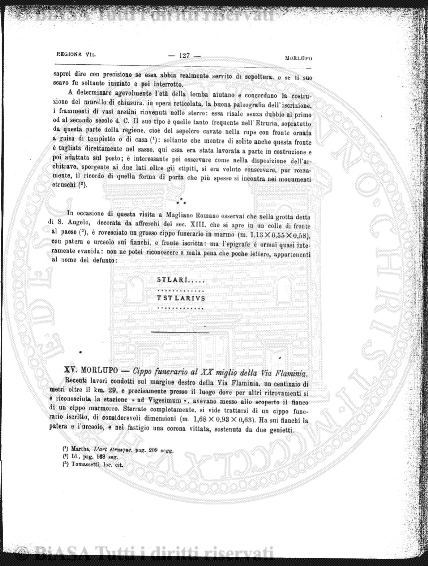 n. 8 (1835) - Pagina: 29